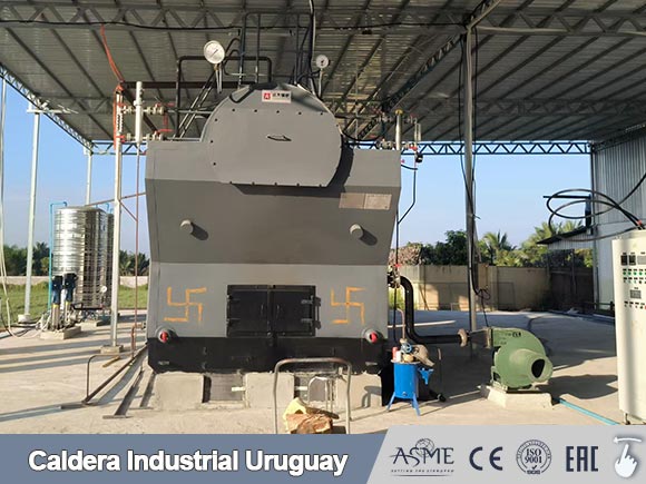 caldera vapor de biomasa,caldera lena industrial,caldera vapor de madera