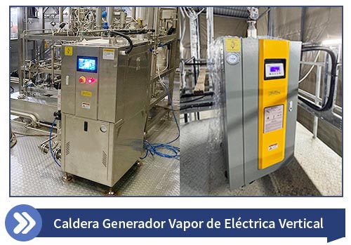 caldera vapor electrica,generador vapor de electrica