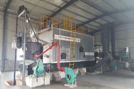 Vietnam Biomass boiler