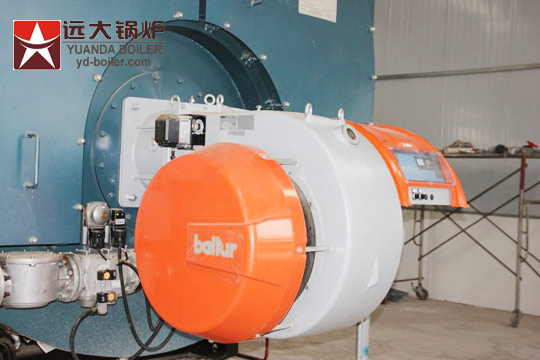 lpg gas fired steam boiler