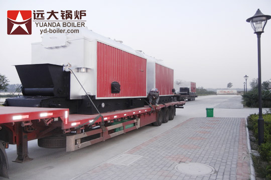 Wood hot water Boiler