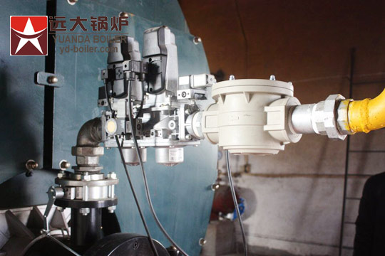Industrial biomass fired chain grate stoker