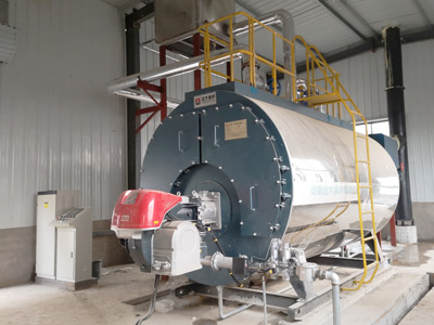  2.8MW Gas Fired Hot Water Boiler 