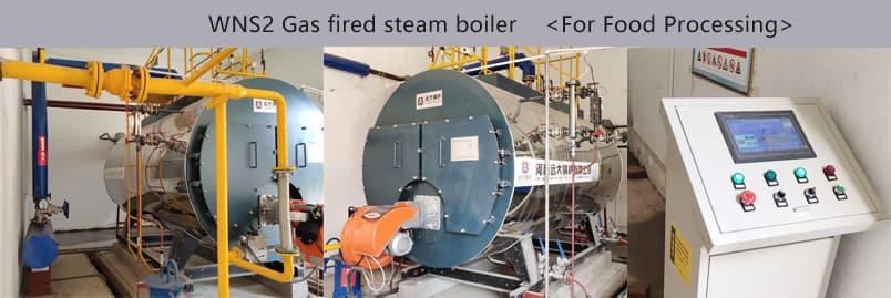 gas fired steam boiler