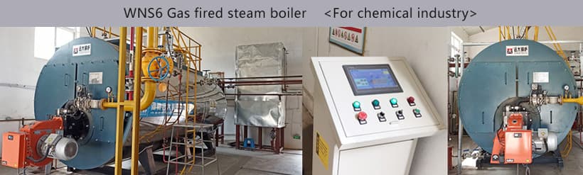gas steam boiler