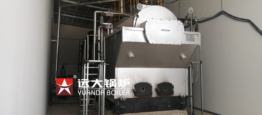 DZH 2ton coal boiler