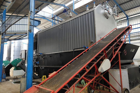 10ton plam shells fired boiler