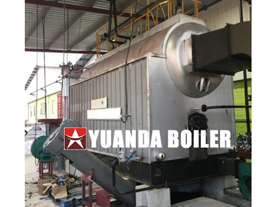 DZL automatic steam boiler