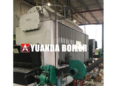 automatic biomass steam boiler