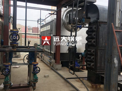 DZL2 1.25 AII Coal boiler