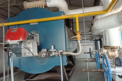 thermal oil boiler