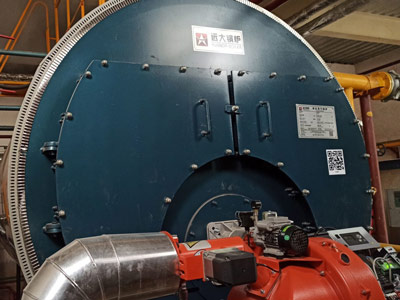 automatic gas fired boiler