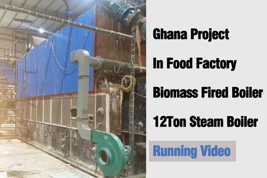 12ton biomass fuel boiler