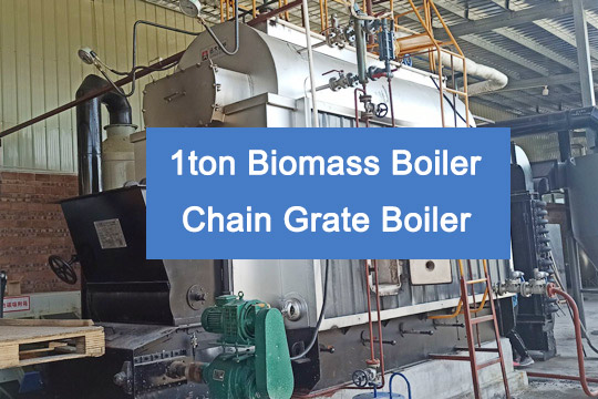 dzl coal biomass boiler,dzl 1ton steam boiler,dzl chain grate boiler
