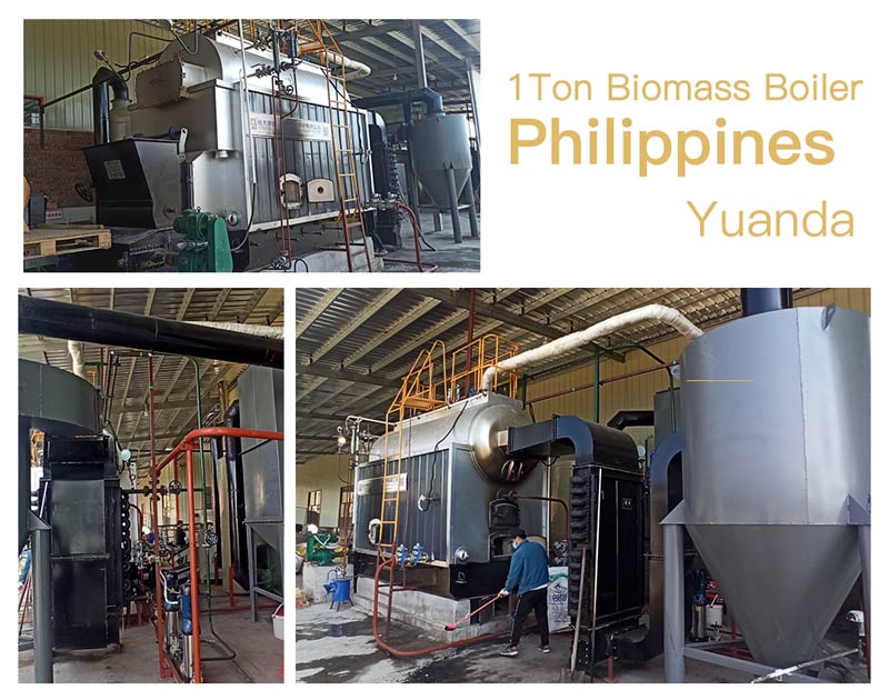 chain grate biomass boiler,dzl steam boiler,dzl biomass boiler