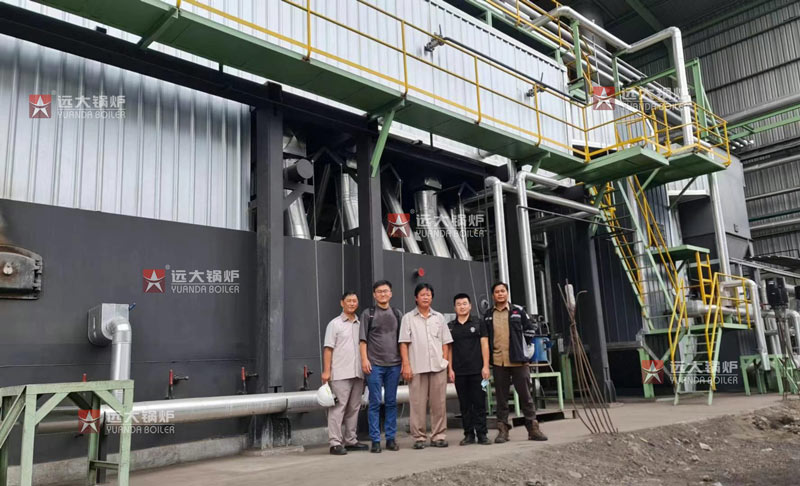 20ton coal steam boiler,coal biomass boiler,water tube steam boiler