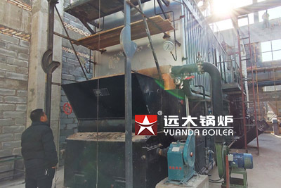 dzl chain grate biomass boiler,dzl biomass boiler,dzl heating boiler