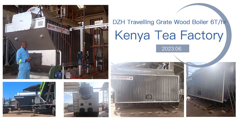 tea factory wood boiler,dzh wood steam boiler,kenya wood burning boiler