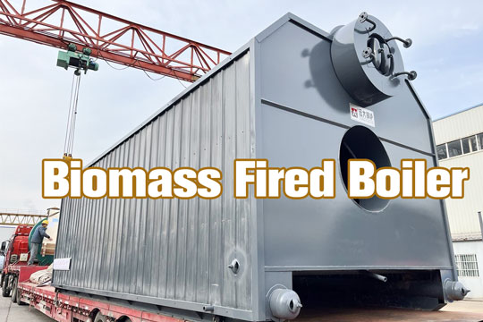 water tube biomass biogas boiler,szl double drums water tube boiler,china biomass fired steam boiler