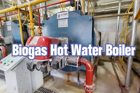 china biogas fired boiler,industrial biogas fired boiler,biogas fired hot water boiler