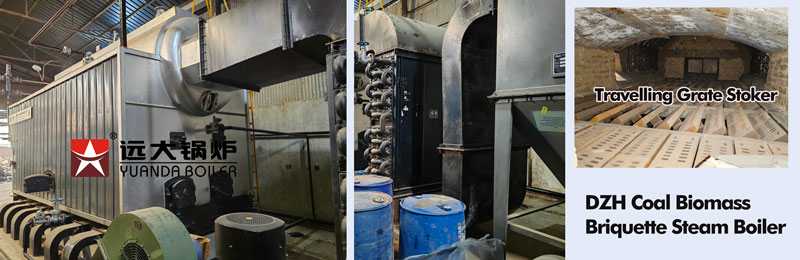 briquette steam boiler,industrial briquette burning boiler,biomass briquette boiler