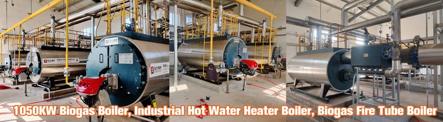 biogas hot water boiler,industrial biogas boiler in poultry,biogas fired boiler