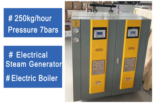 electric steam generator boiler 250kg,automatic electric boiler,vertical electric boier small
