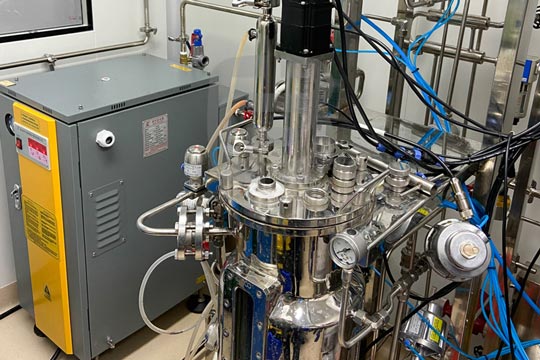 Laboratory steam boiler,vertical boiler,electric steam boiler