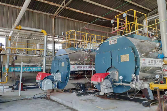 4000kg biogas boiler,6000kg biogas boiler,industrial biogas steam boiler