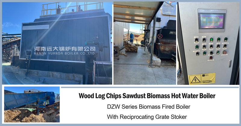 biomass boiler chile,hot water boiler,caldera biomasa