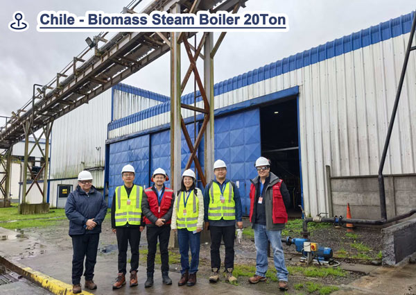 steam boiler chile,industrial boiler supplier,biomass steam boiler
