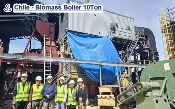 caldera biomasa 10 ton,caldera acuotubular,caldera 600hp