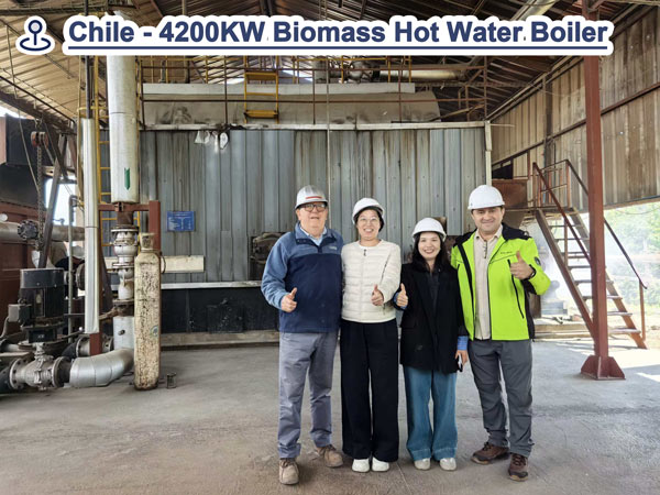 caldera de biomasa,caldera de madera,caldera agua caliente