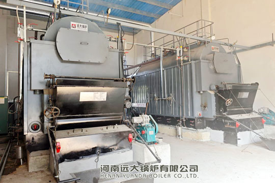 dzl biomass boiler,dzl coal boiler,4ton biomass steam boiler