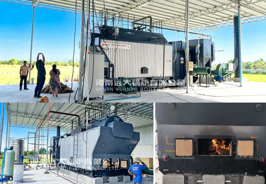 wood boiler syste,biomass boiler china,dzh series wood steam boiler