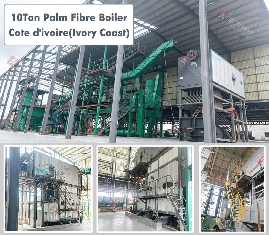 biomass boiler Ivory Coast,palm fibre boiler,reciprocating grate biomass boiler
