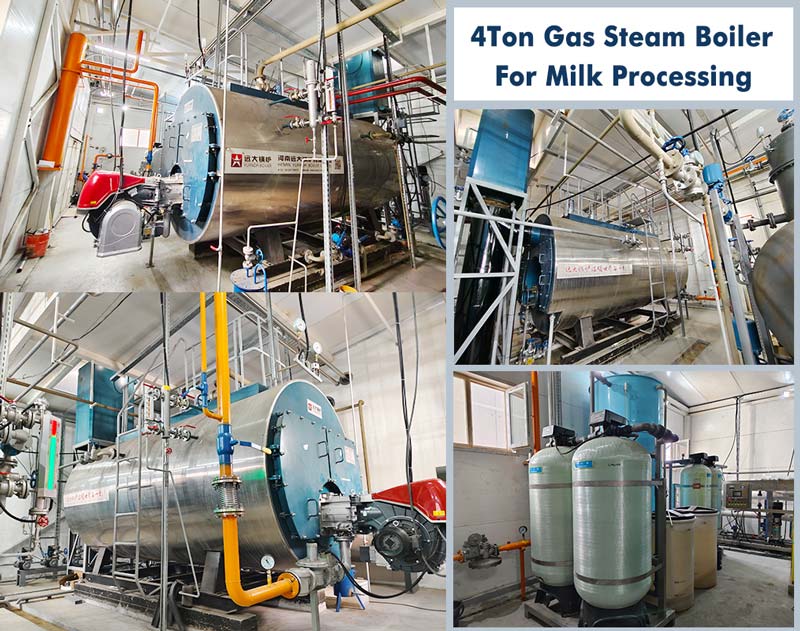 fire tube steam boiler,gas fired boiler,steam boiler for milk processing
