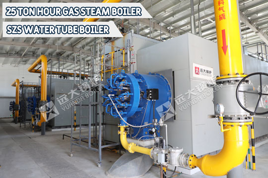 25ton steam boiler,water tube boiler,oil gas boiler