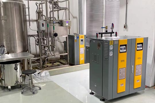 electric boiler supplier,vertical electric boiler,LDR electric steam generator