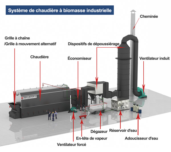 système de chaudière à biomasse, chaudière à biomasse à grille à chaîne, chaudière à vapeur à biomasse