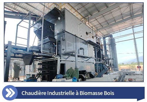 Chaudière à Biomasse Bois
