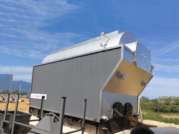 DZH Coal/Wood Steam Boiler