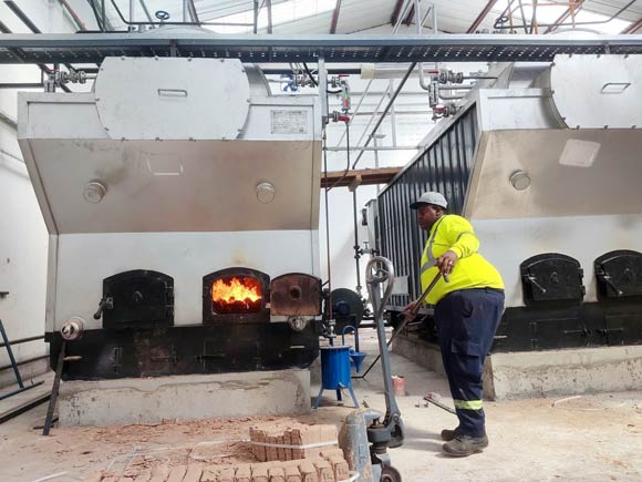 industrial wood coal boiler,biomass coal boiler,coal fired steam boiler