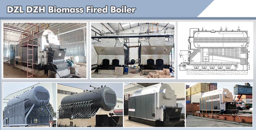 dzl chain grate boiler,biomass steam boiler,industrial boiler
