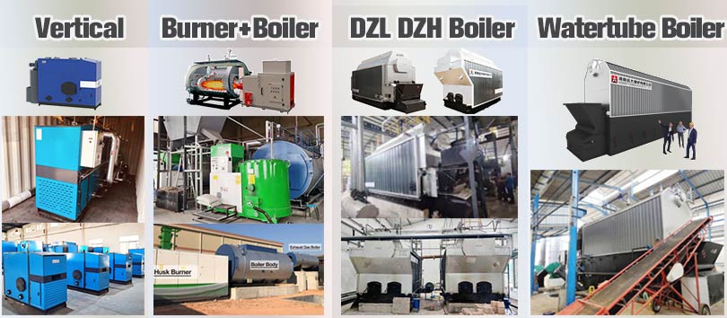 30hp 60hp 200hp 300hp 500hp 600hp 800hp biomass steam boiler