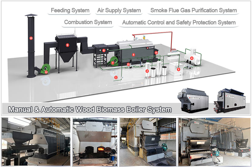 dzl biomass boiler system,dzl chain grate biomass boiler,dzl biomass fired boiler