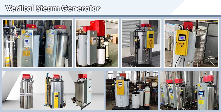 vertical steam generator,lpg gas steam generator,diesel steam generator