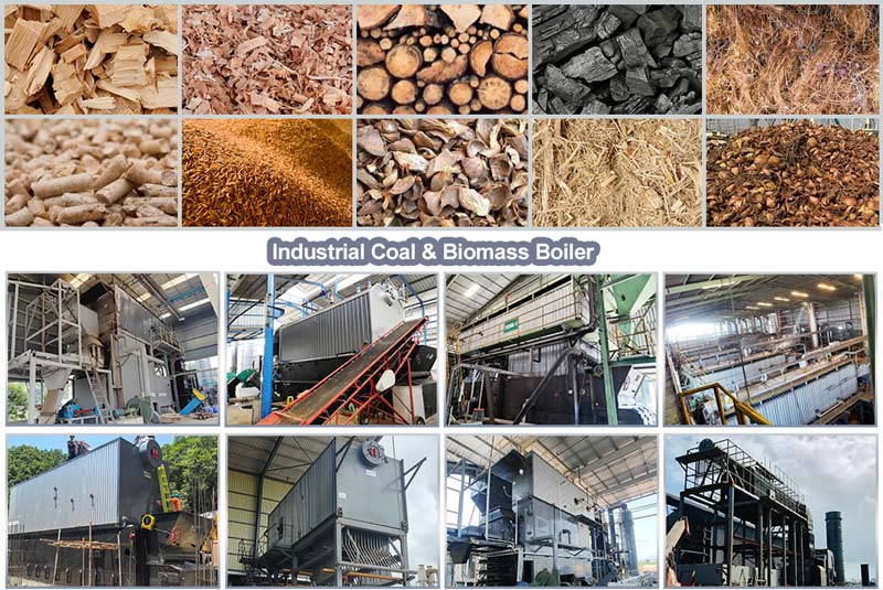 szw boiler,water tube boiler,biomass coal boiler