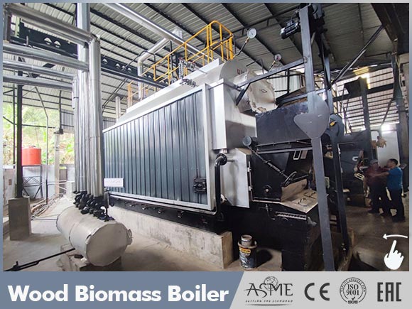biomass boiler egypt,wood steam boiler egypt,ricehusk boiler egypt