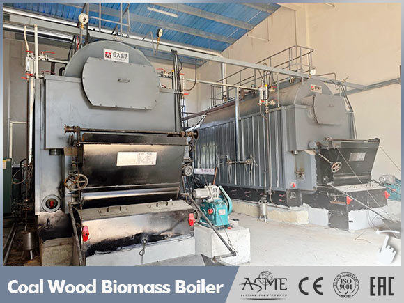 coal boiler indonesia,chain grate boiler indonesia,biomass boiler indonesia